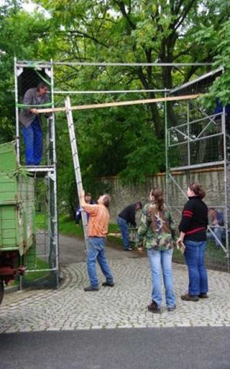 2010-09-02-dorffest-06