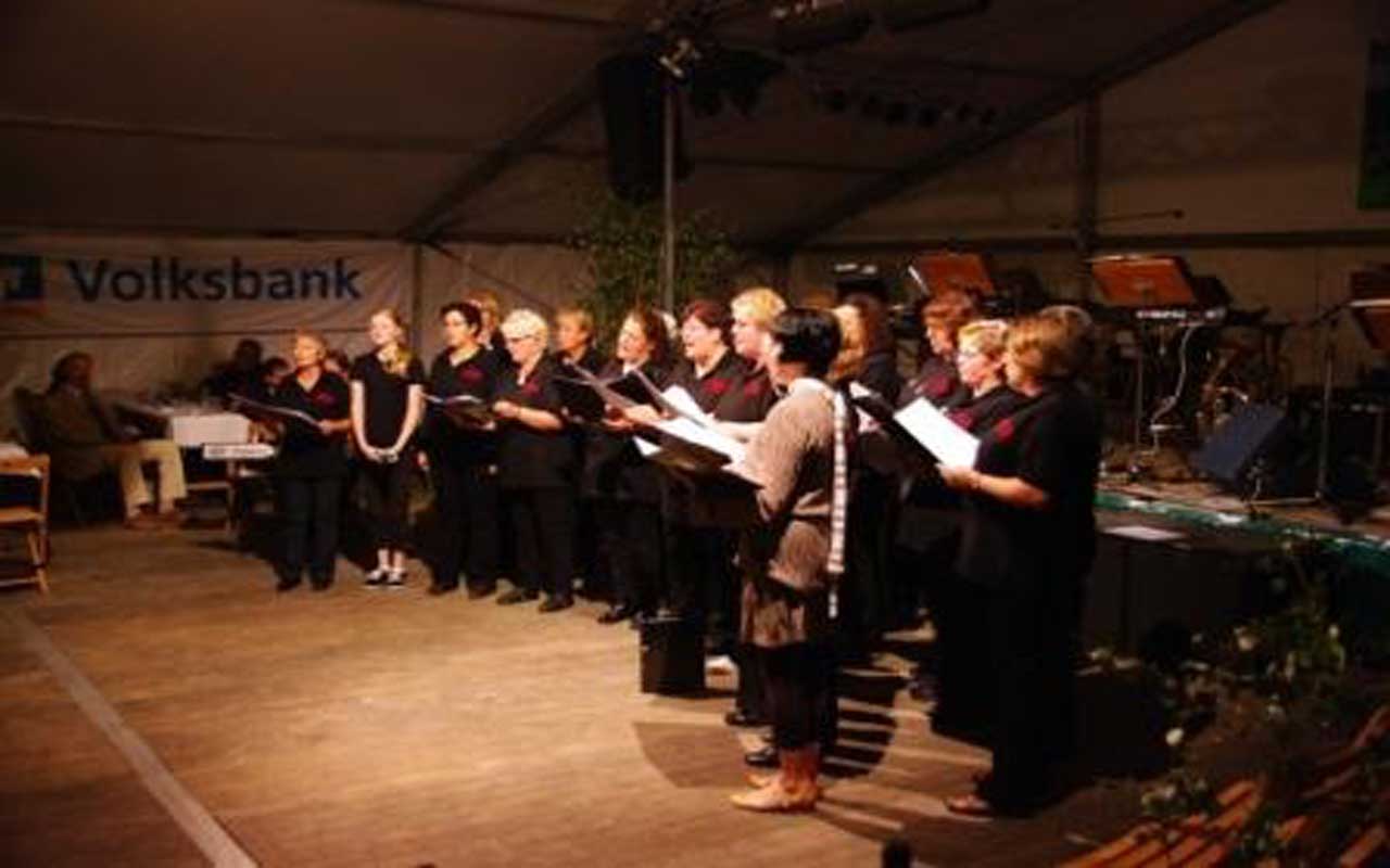 2010-09-03-Dorffest-08