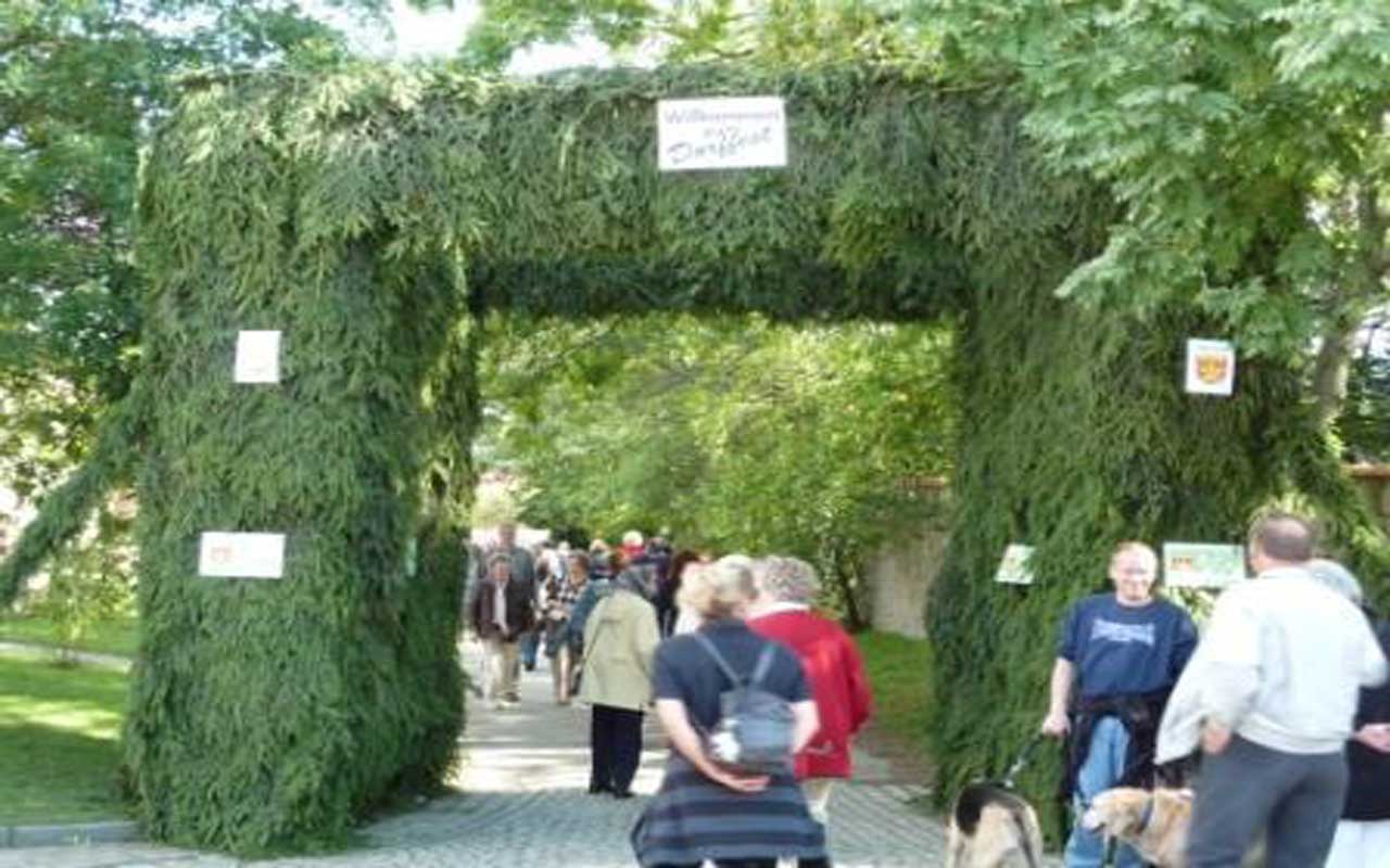 2010-09-05-dorffest-110