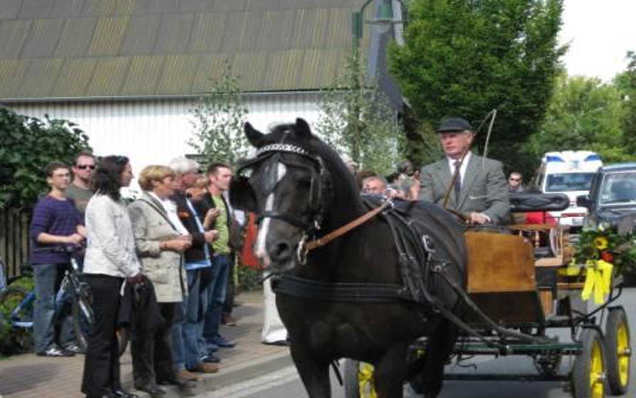 2010-09-05-dorffest-127