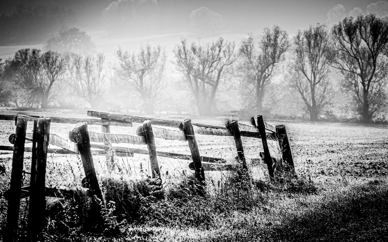 Herbst am Dornkamp