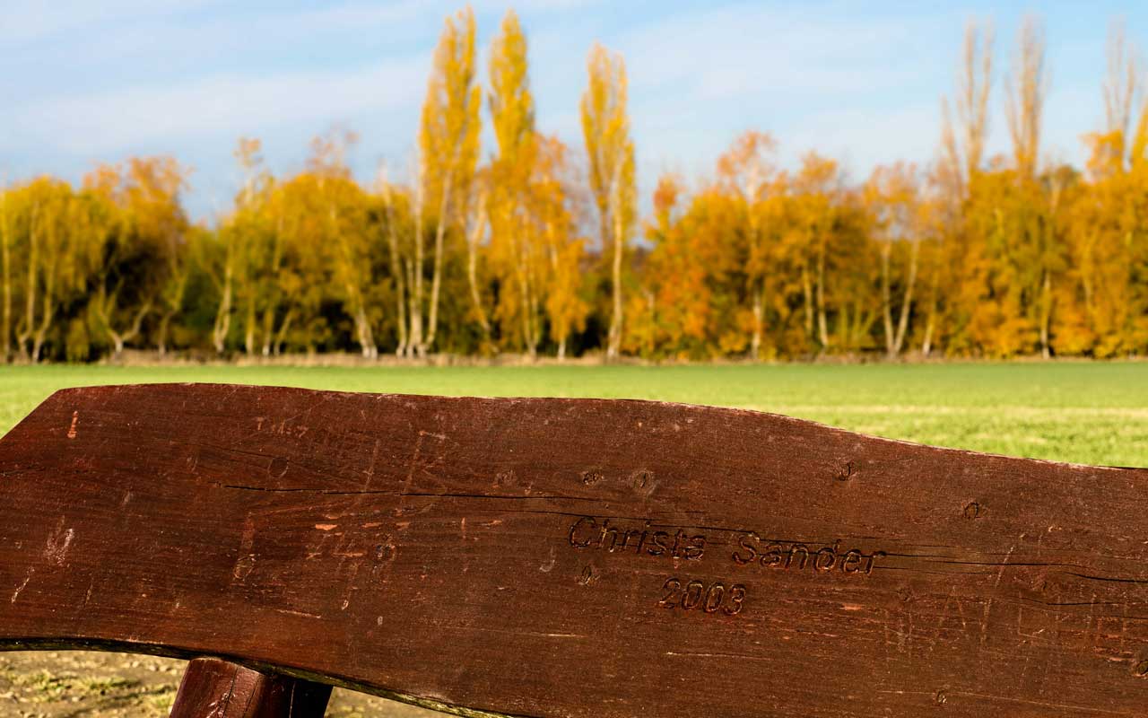 Am Großen Pfingstangerkamp
