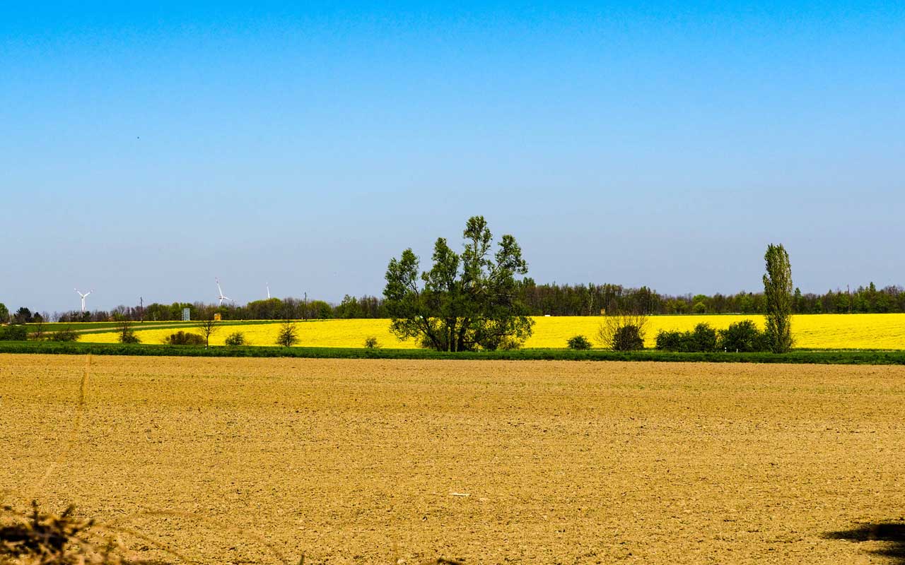 das Maschfeld in Richtung Maschbach