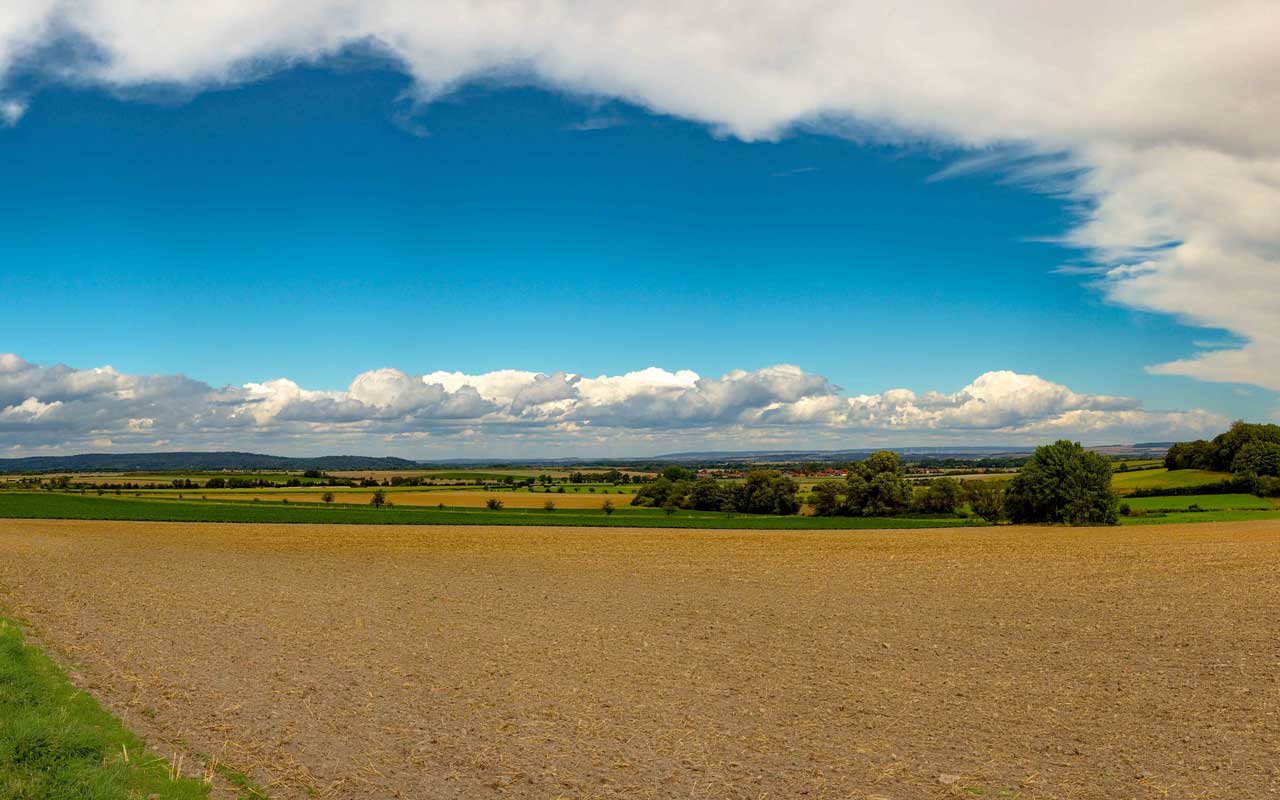 Am Leimenweg