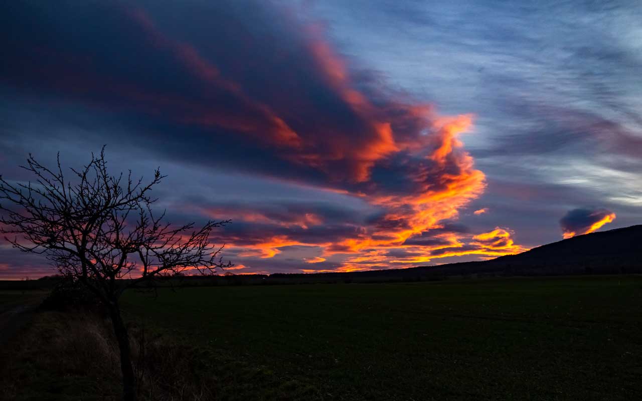 Morgenstimmung am Großen Pfingstangerkamp
